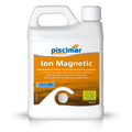 Ion-Magnetic